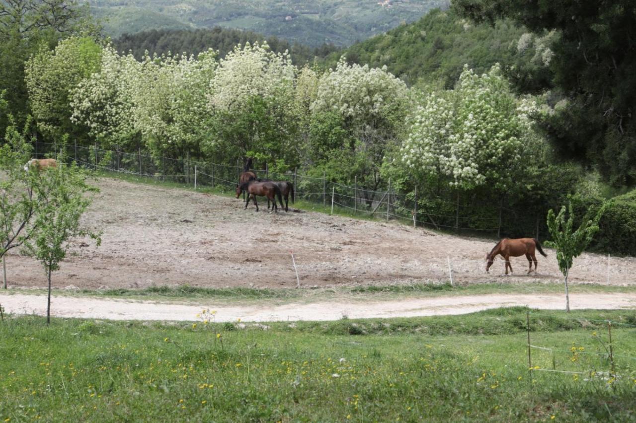 Agriturismo San Martino Фолиньо Экстерьер фото